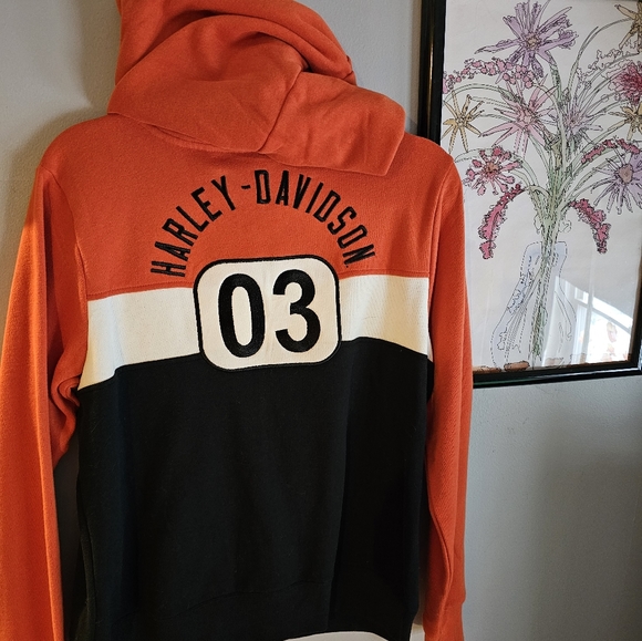 Hoodie - Picture 1 of 2